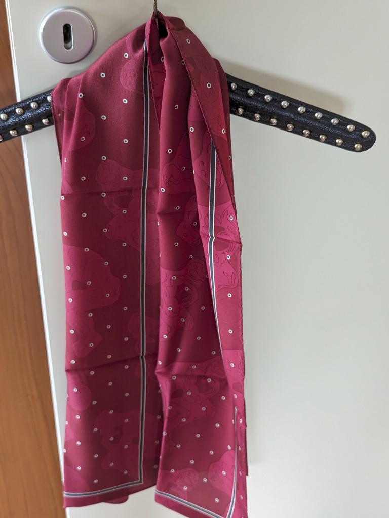 Sjaal Rood (Zijde) (Nieuw) 130x30 cm, Ophalen of Verzenden, Nieuw, Maat 46/48 (XL) of groter, Sjaal