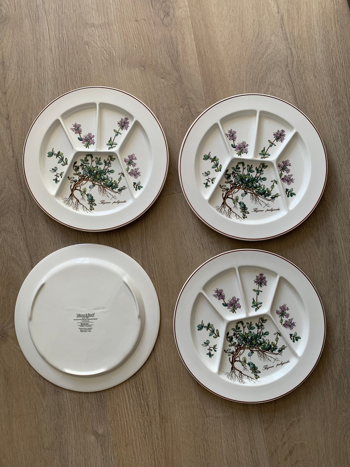 Villeroy & Boch Botanica servies vier fondueborden, Villeroy & Boch, Ophalen of Verzenden, Zo goed als nieuw, Bord(en)