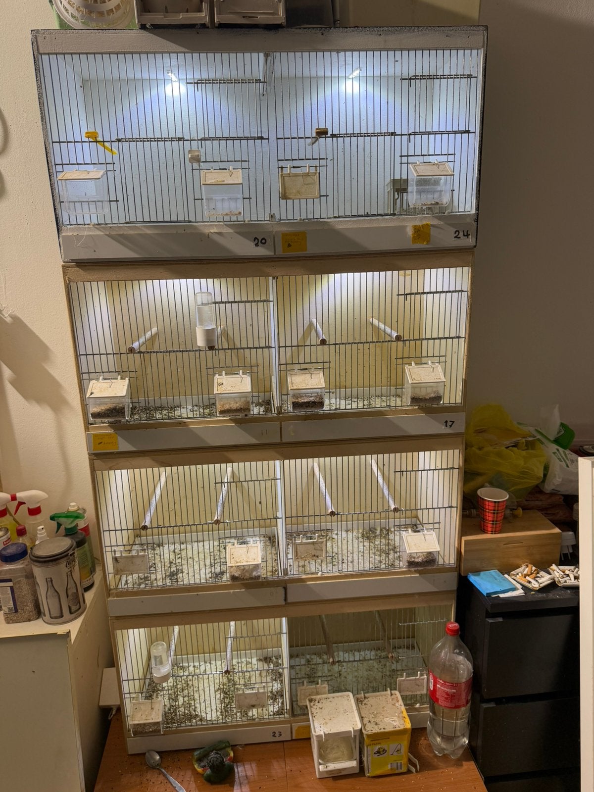 Kweek kooi, Dieren en Toebehoren, Ophalen of Verzenden, Zo goed als nieuw, Broedkooi of Kweekkooi