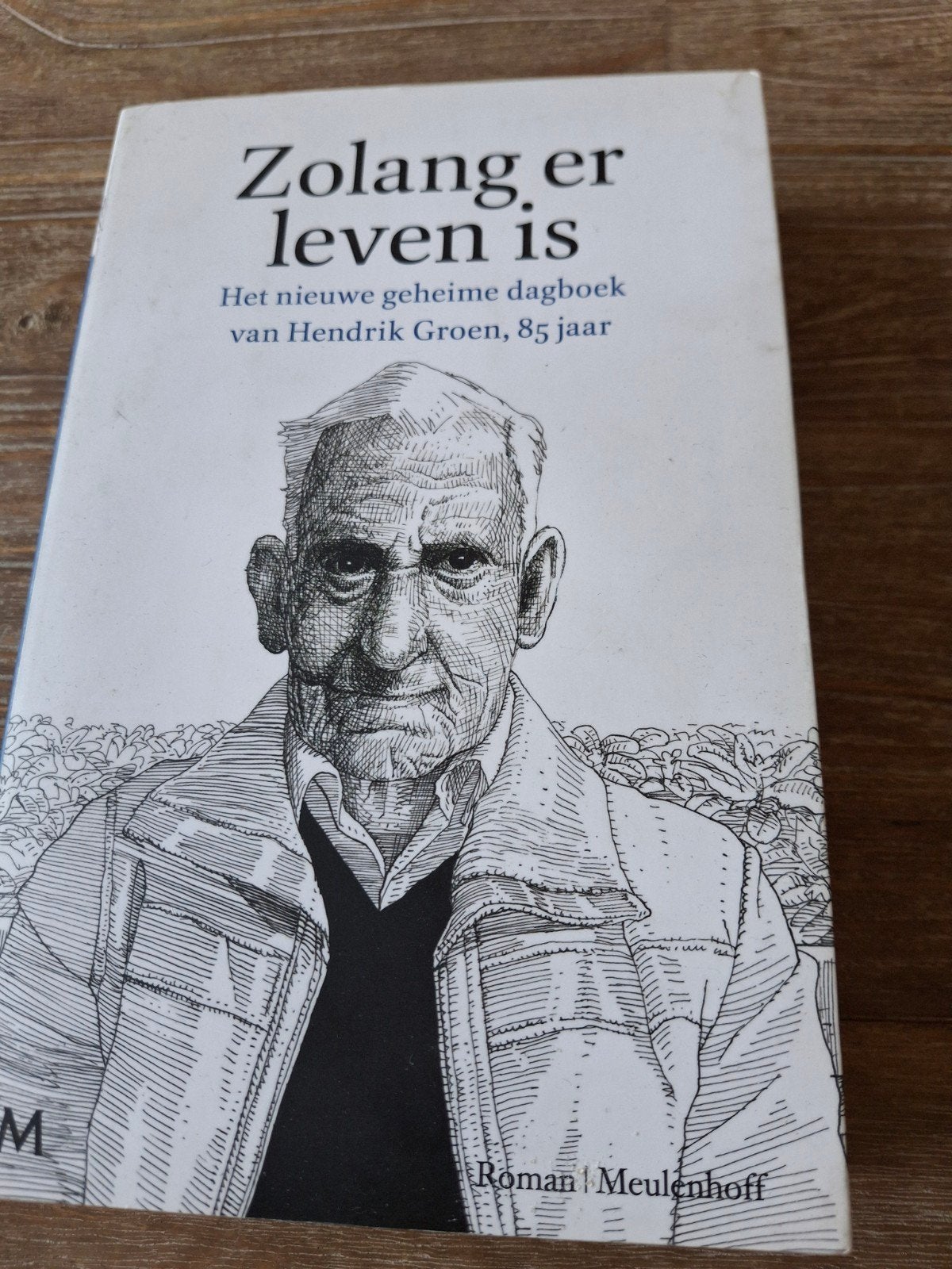 Hendrik Groen - Zolang er leven is, Ophalen of Verzenden, Zo goed als nieuw, Hendrik Groen