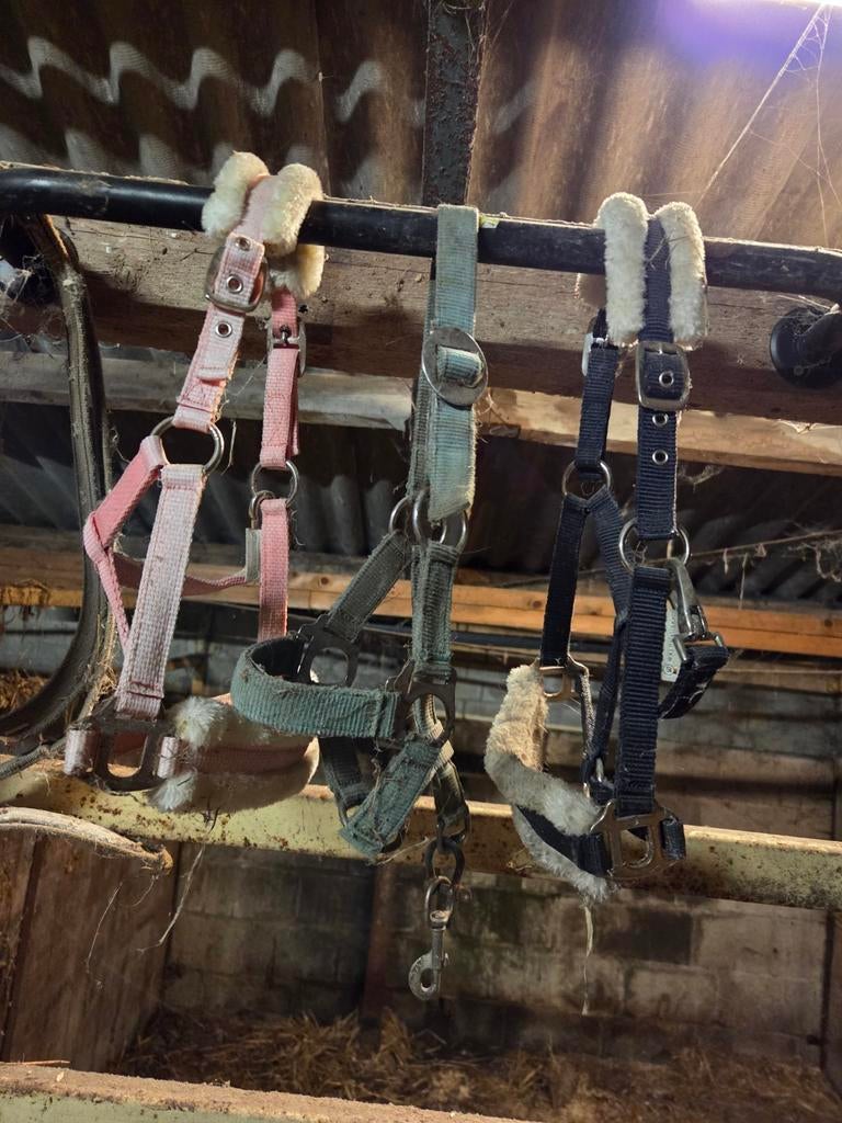 Shetlander halsters en deken, Doe-het-zelf en Verbouw, Steigers, Ophalen of Verzenden, Overige typen, Minder dan 2 meter