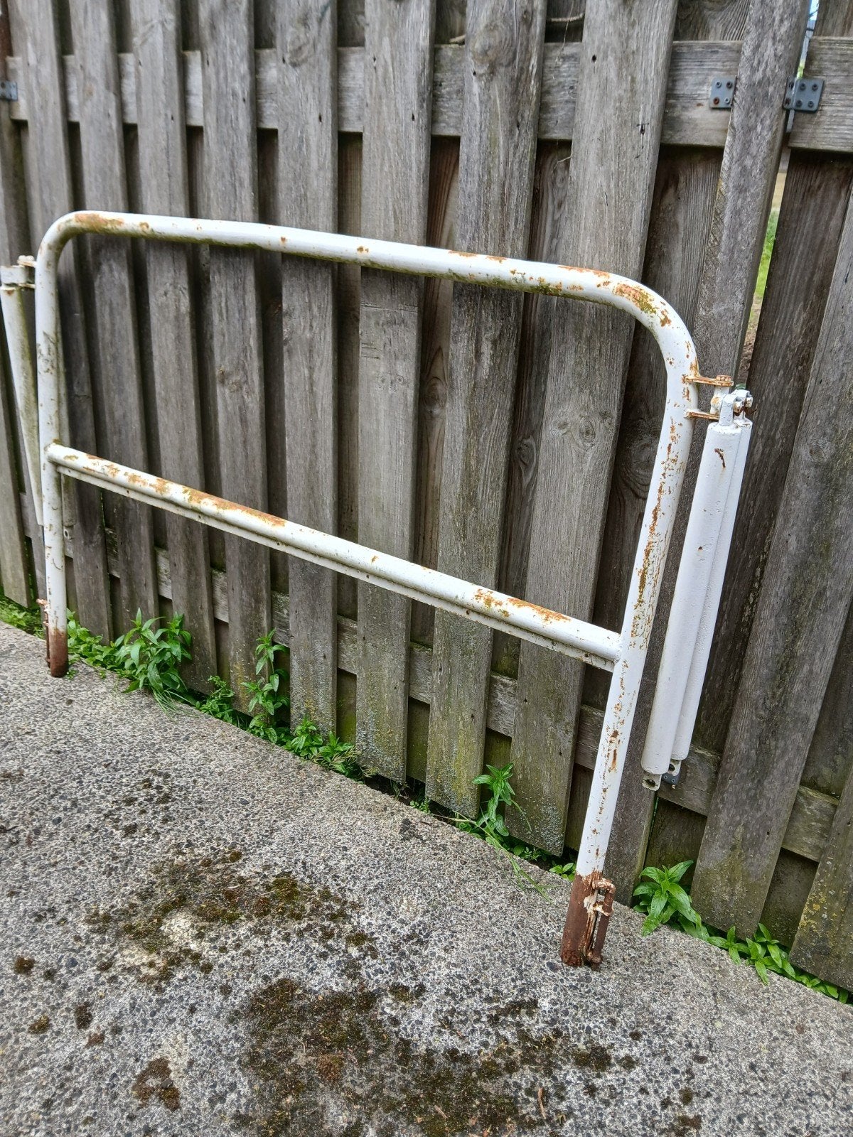 Paardentrailer middenschot tussenschot