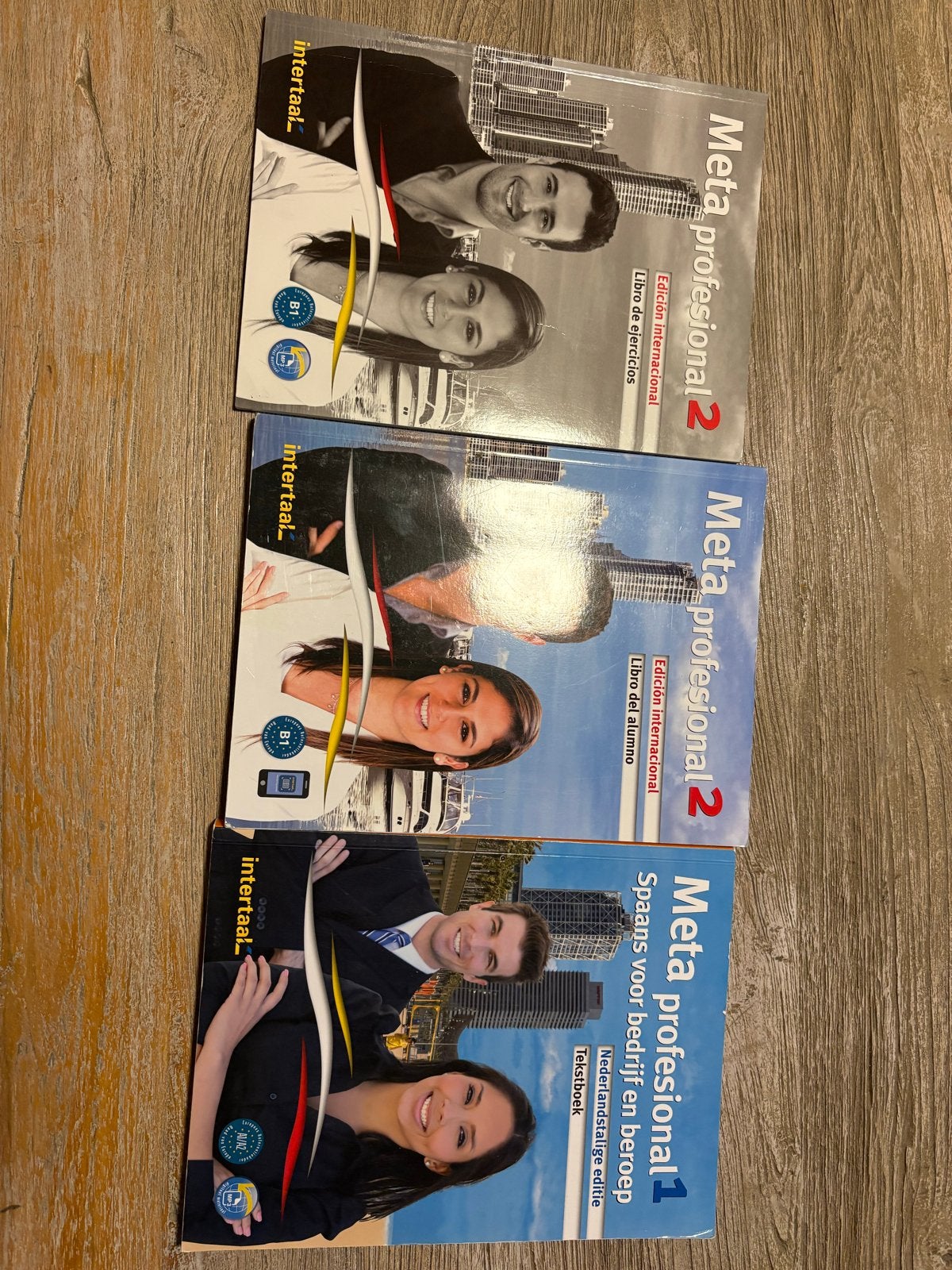 Meta Profesional 1 & 2 - Spaans voor bedrijf en beroep, Boeken, Ophalen of Verzenden, Zo goed als nieuw, Non-fictie