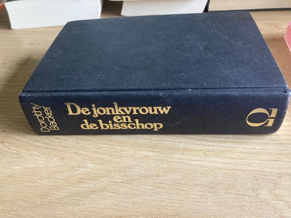Boek Dorothy Backer, Ophalen of Verzenden, Gelezen