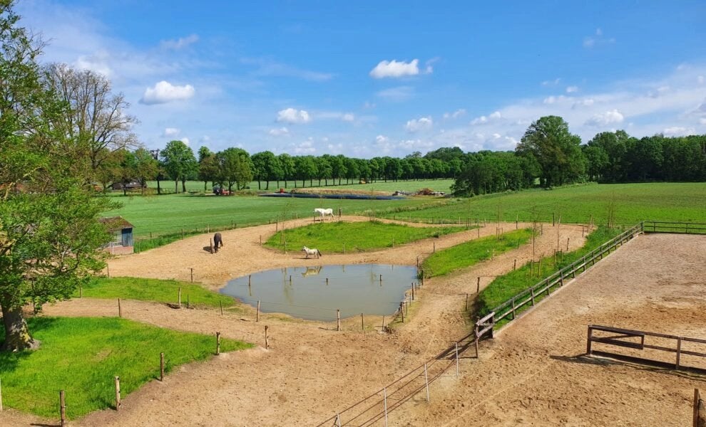 Ideale bijbaan voor paarden meisje / jongen, Vacatures, Overige niveaus, Starter, Overige vormen