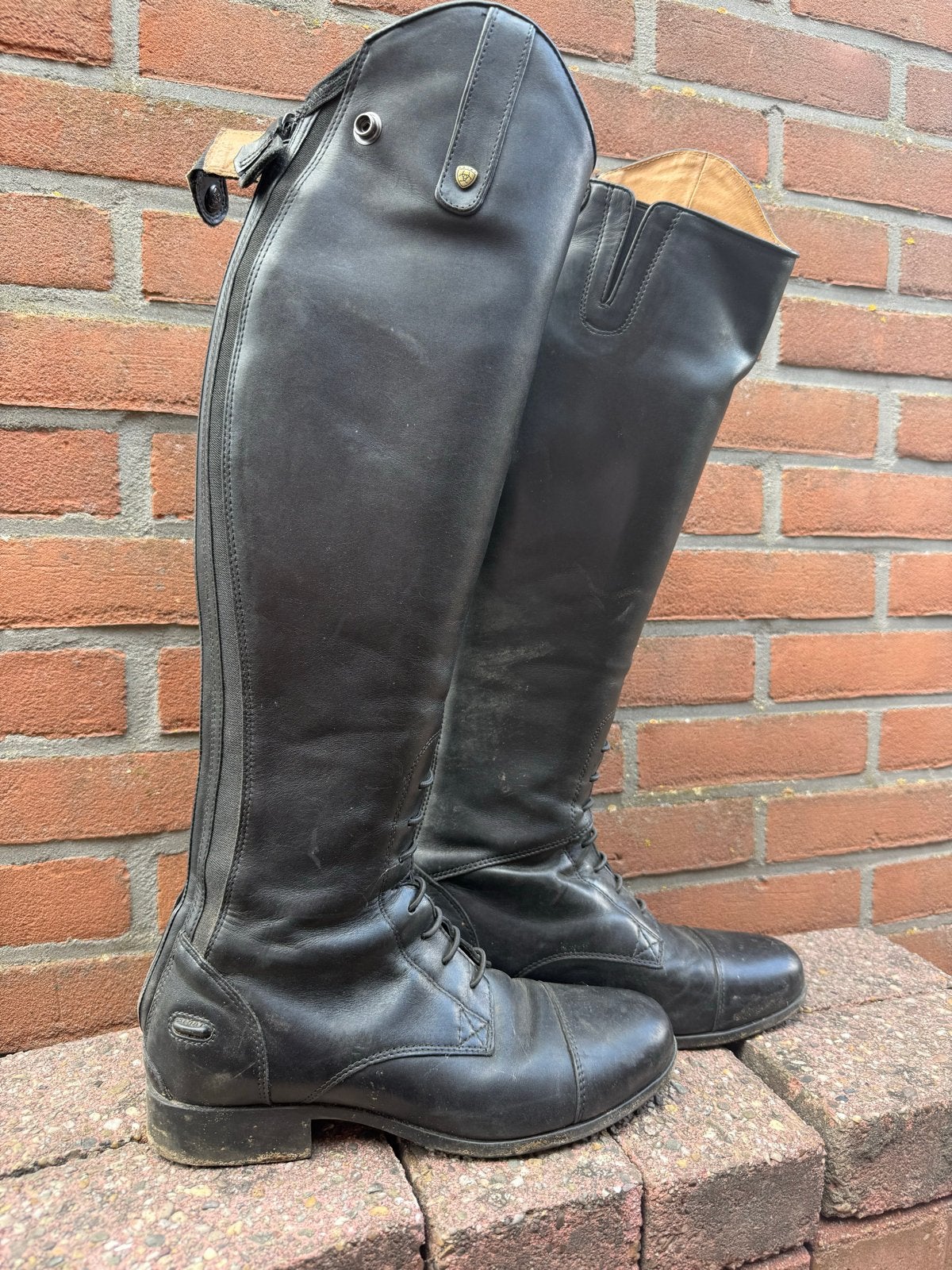 Ariat laarzen mt40, Ophalen of Verzenden, Zo goed als nieuw, Dressuur