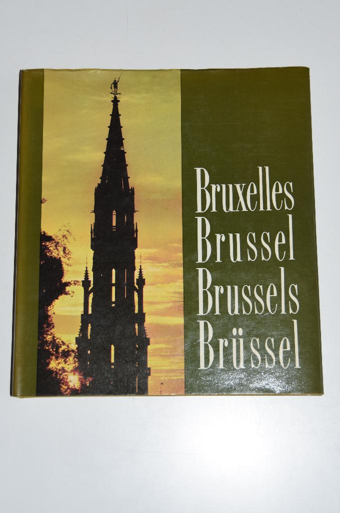 Een portret van Brussel - Dumont & Merckx reisgids België, Boeken, Reisgidsen, Verzenden, Nieuw, Reisgids of -boek, Overige merken