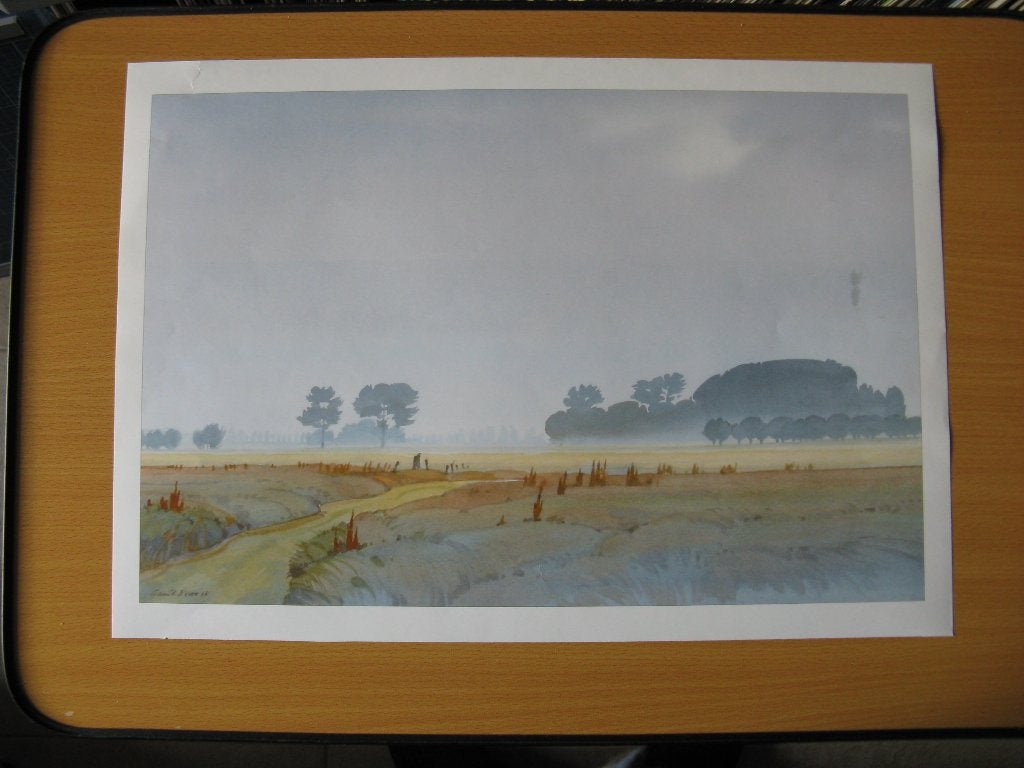 een dorp binnen de gemeente wijk bij duurstede., Ophalen of Verzenden, Voor 1940, Zo goed als nieuw, Overige onderwerpen