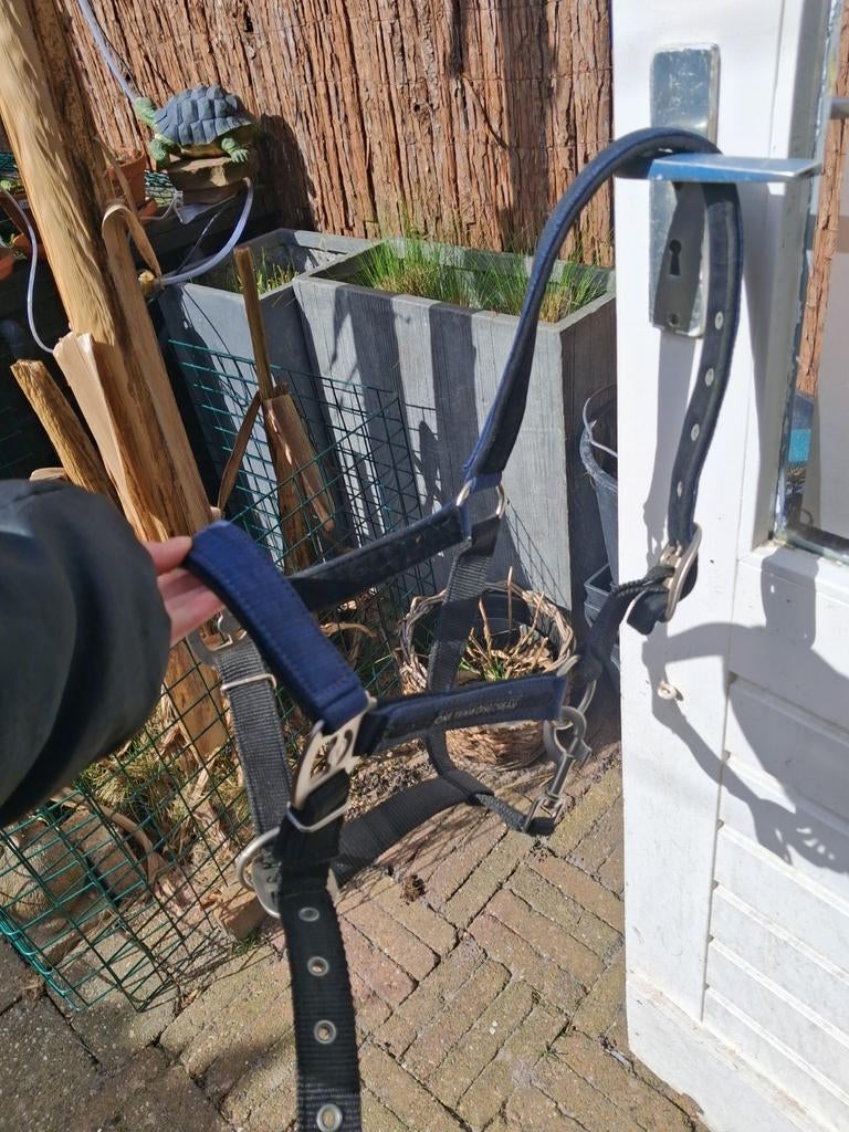 Halster QHP, blauw, Ophalen, Zo goed als nieuw, Overige soorten