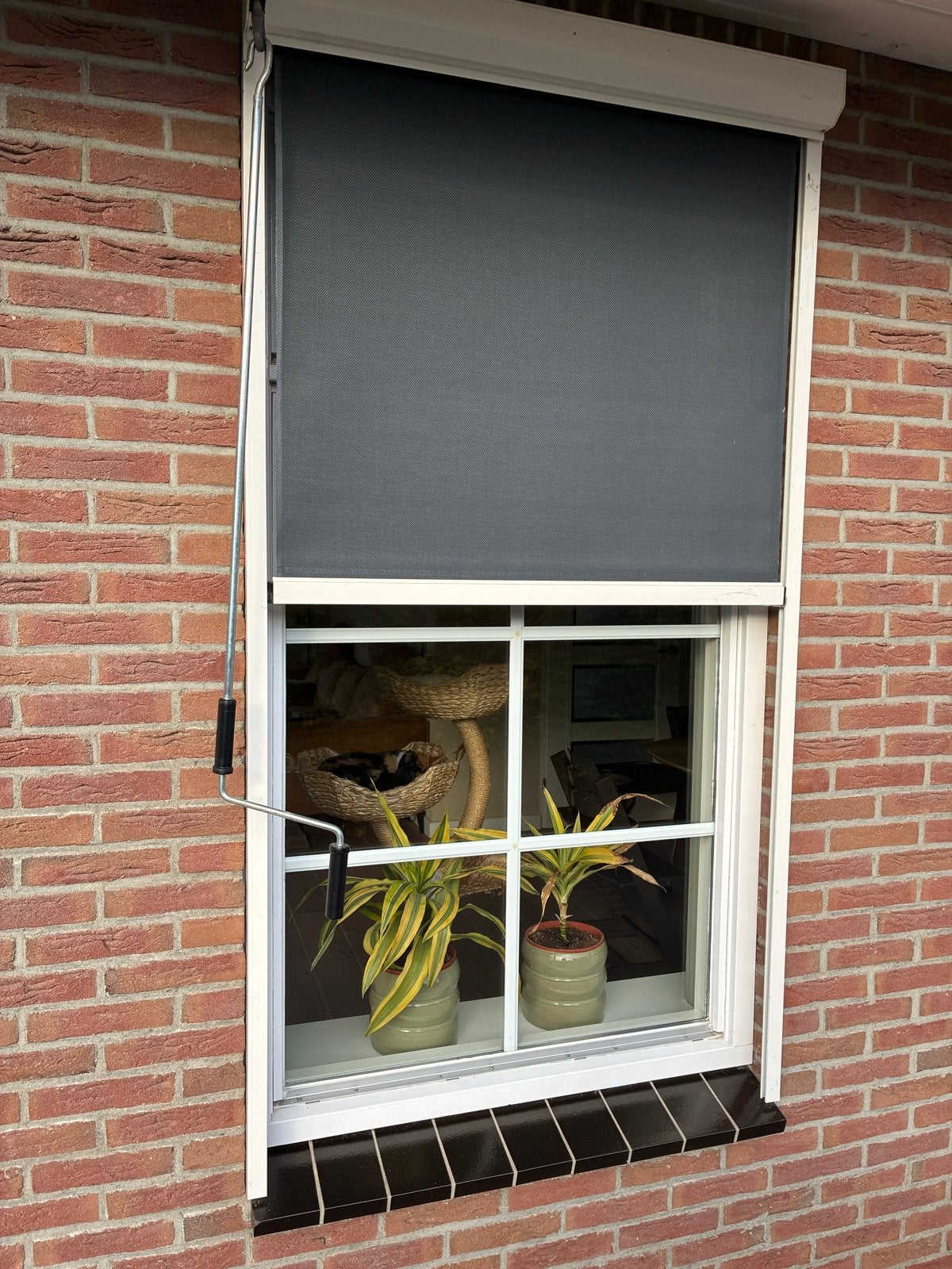Zonwering screens - Perfect voor privacy en zonregulatie, Tuin en Terras, Ophalen, Gebruikt, Minder dan 250 cm, 150 tot 300 cm