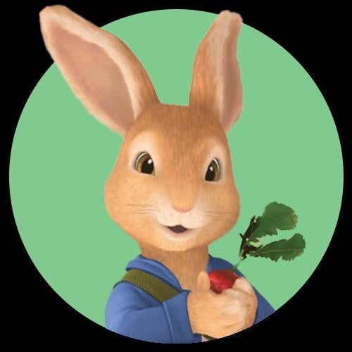 Konijnen koppel, Dieren en Toebehoren, Konijnen, Meerdere dieren, Middelgroot, 3 tot 5 jaar