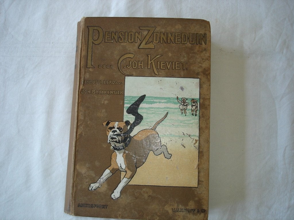 Pension Zonneduin door C. Joh. Kieviet bruin 1925, Boeken, Ophalen of Verzenden, Gelezen