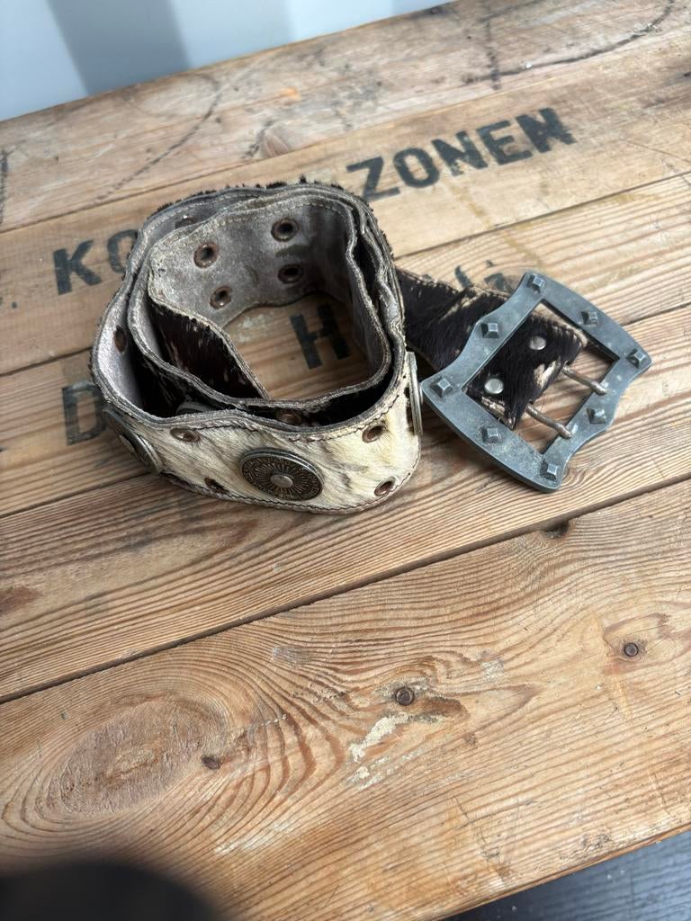Riem met munten en gesp, Overige kleuren, Echt leder, Thrifter, Heupriem