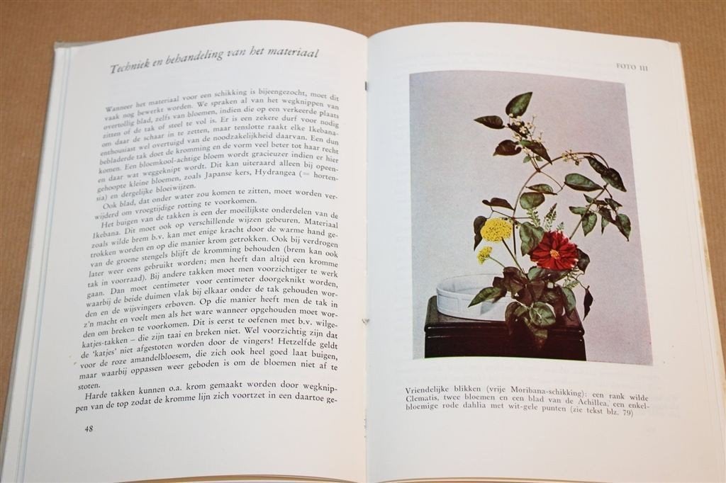 Ikebana — Vintage Bloemschikkunst Inheemse Planten 1967, Ophalen of Verzenden, Gelezen, Overige onderwerpen