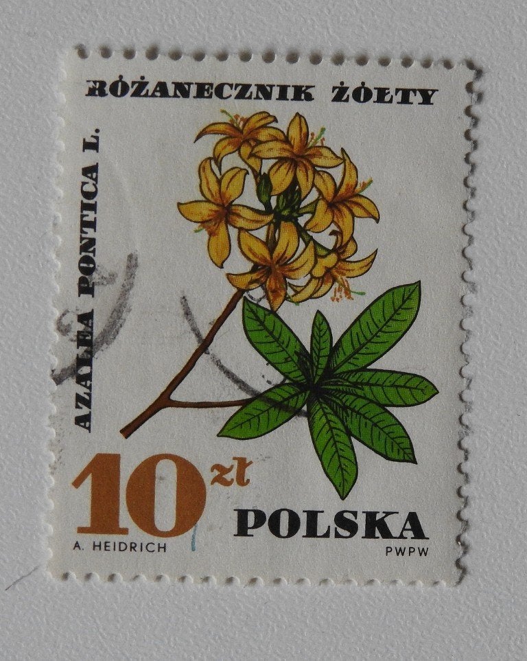 Postzegel Polen 1967 Bloem, Verzenden, Frankeerzegel, Gestempeld, Overig