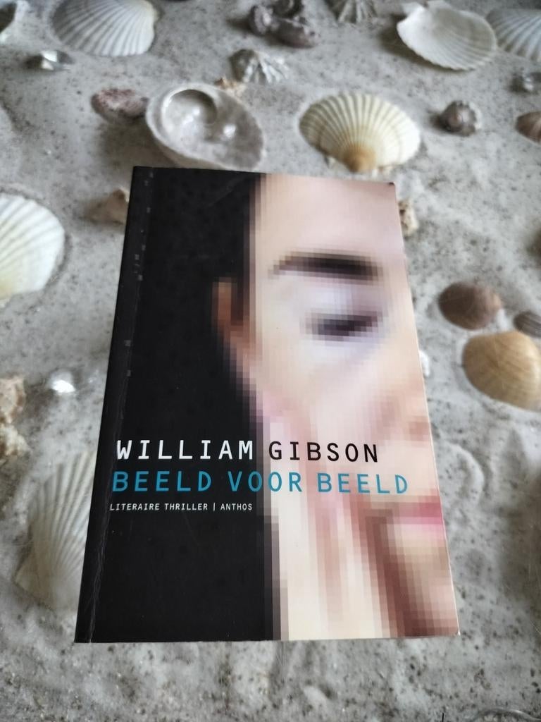 William Gibson - Beeld voor beeld, Boeken, Gelezen, W. Gibson, Ophalen of Verzenden