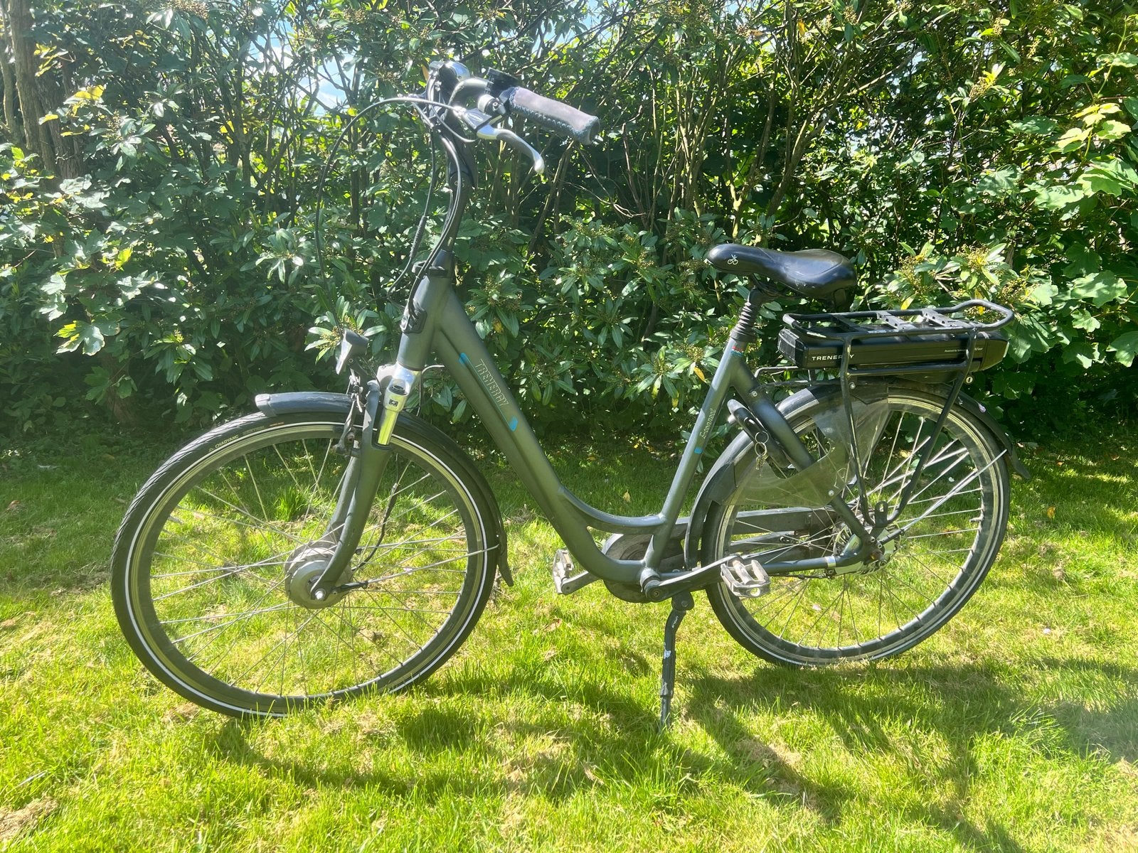 Trenergy Elektrische Fiets - Goed Onderhouden, Nieuwe Remmen, Ophalen of Verzenden, Gebruikt, Overige merken