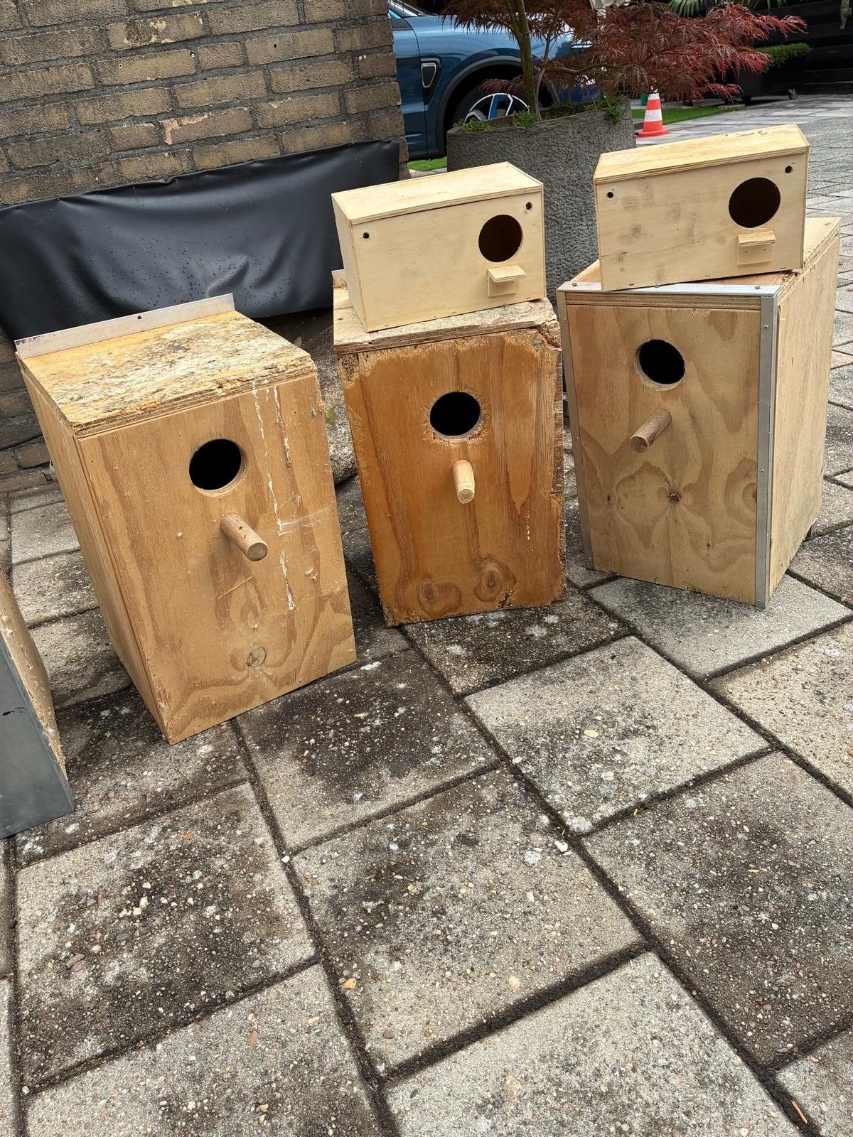 broedkooien, Ophalen, Zo goed als nieuw, Hout, Broedkooi of Kweekkooi