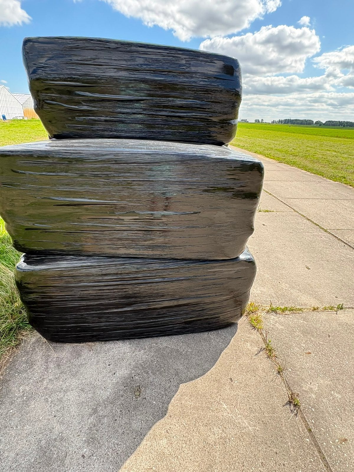 Aangeboden 8 pakken voordroog., Dieren en Toebehoren, Ophalen of Verzenden, Vee