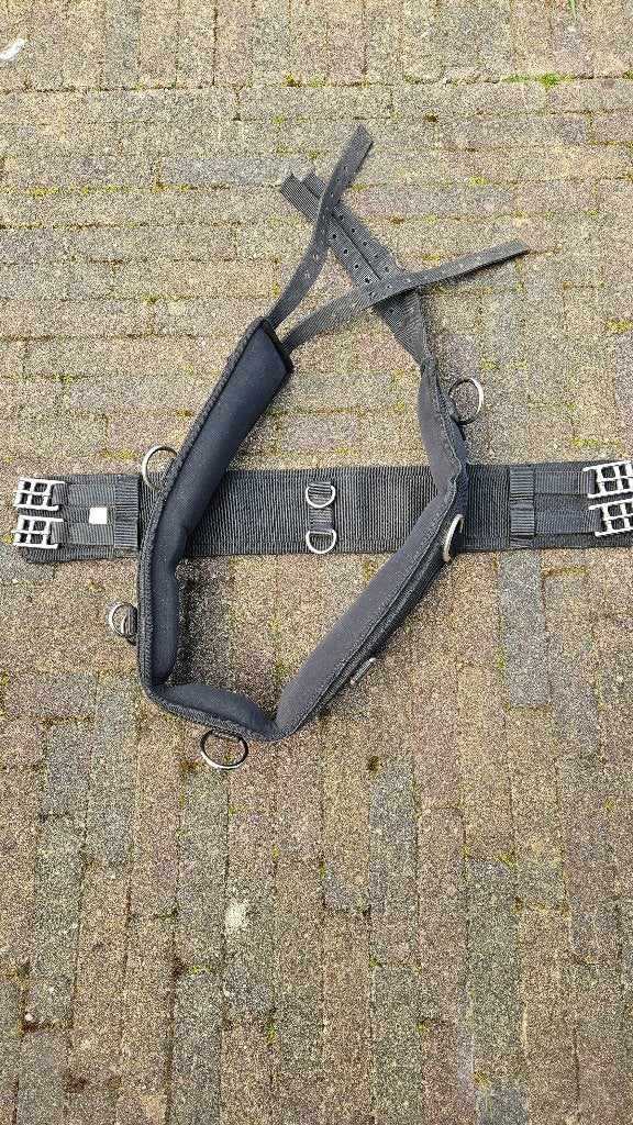 QHP Longeersingel, Ophalen, Singel, QHP, Full