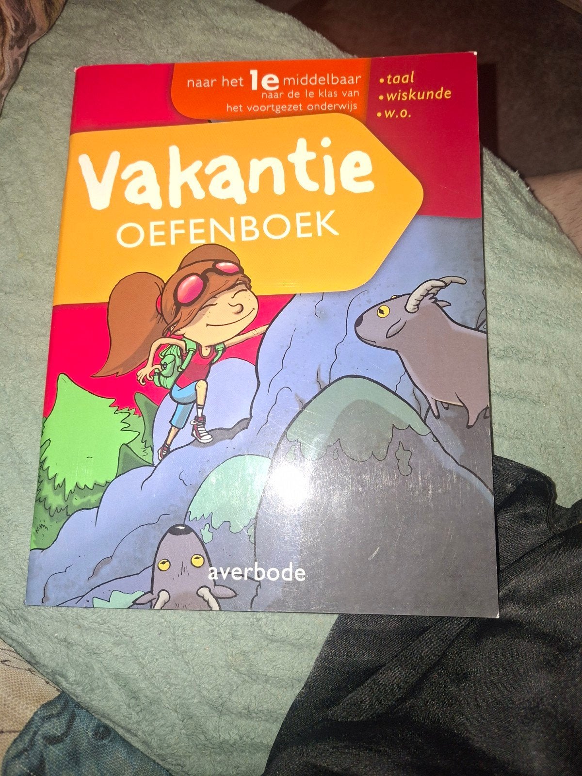 Vakantie oefenboek, Ophalen of Verzenden