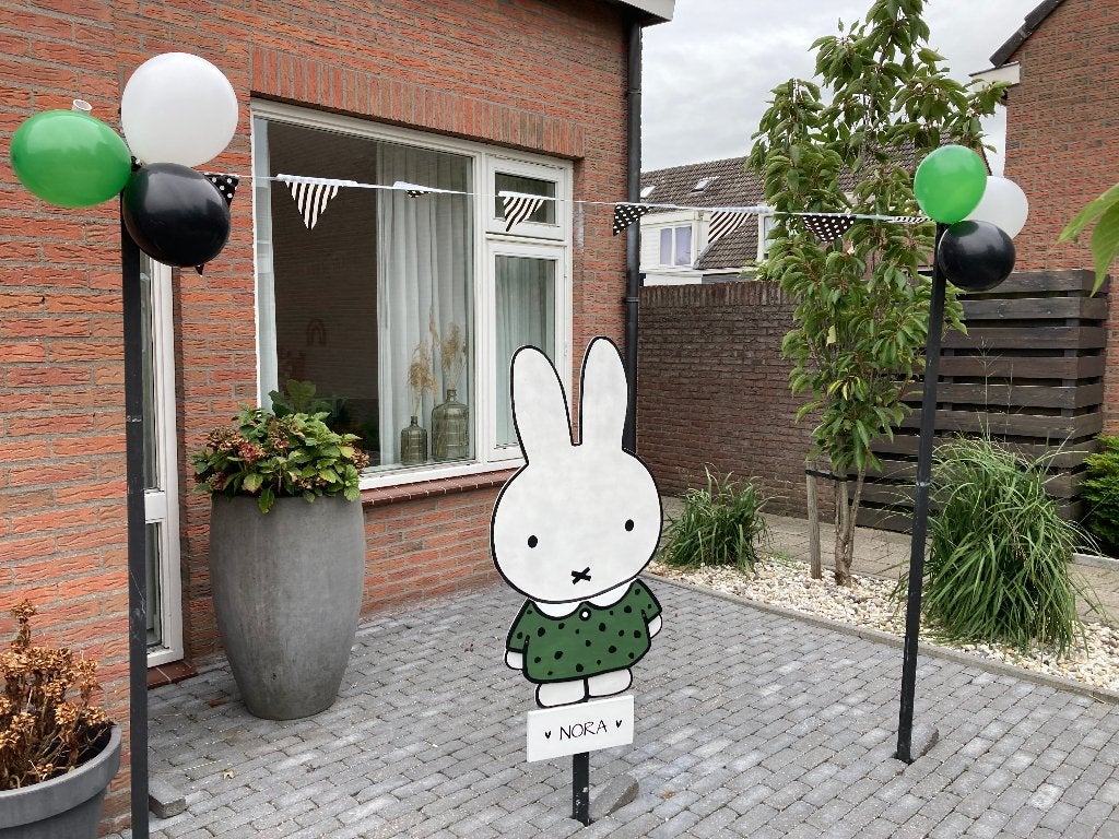 Te huur: Geboortebord nijntje (Groen), Kinderen en Baby's, Kraamcadeaus en Geboorteborden, Ophalen, Gebruikt, Geboortebord