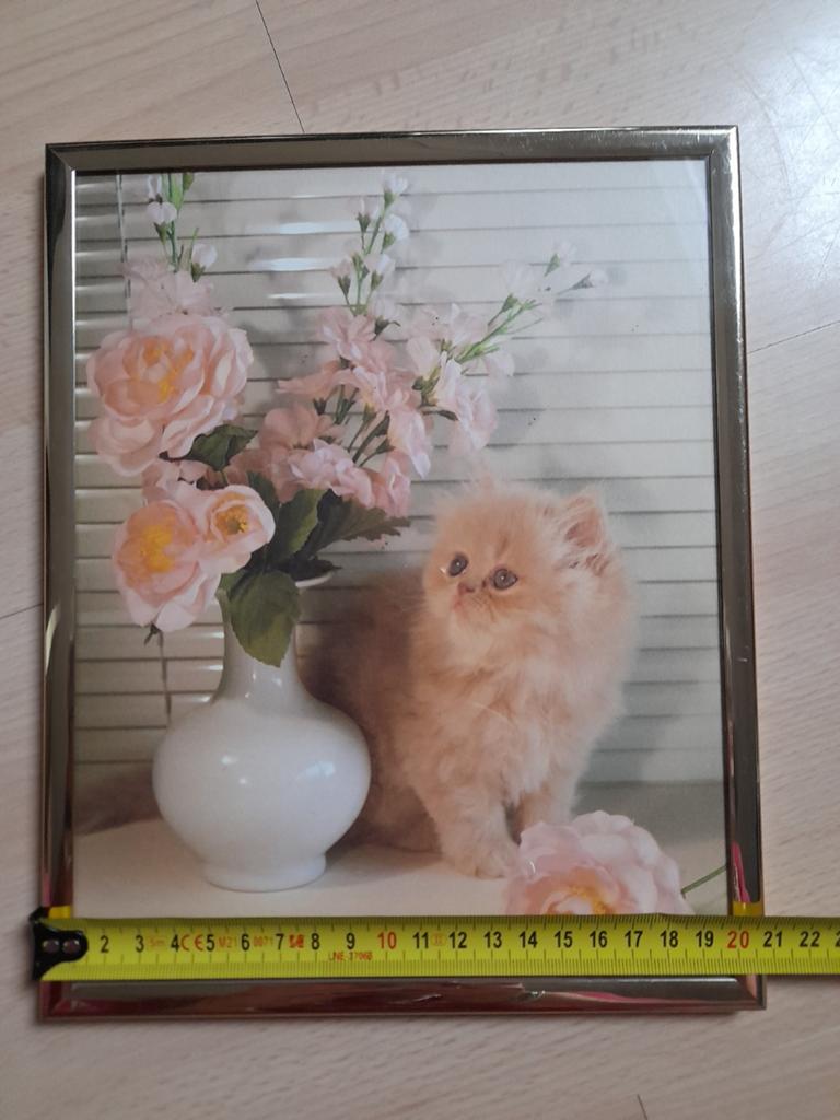 2 schattige poezen lijstjes, Ophalen, Minder dan 50 cm, Zo goed als nieuw, Minder dan 50 cm