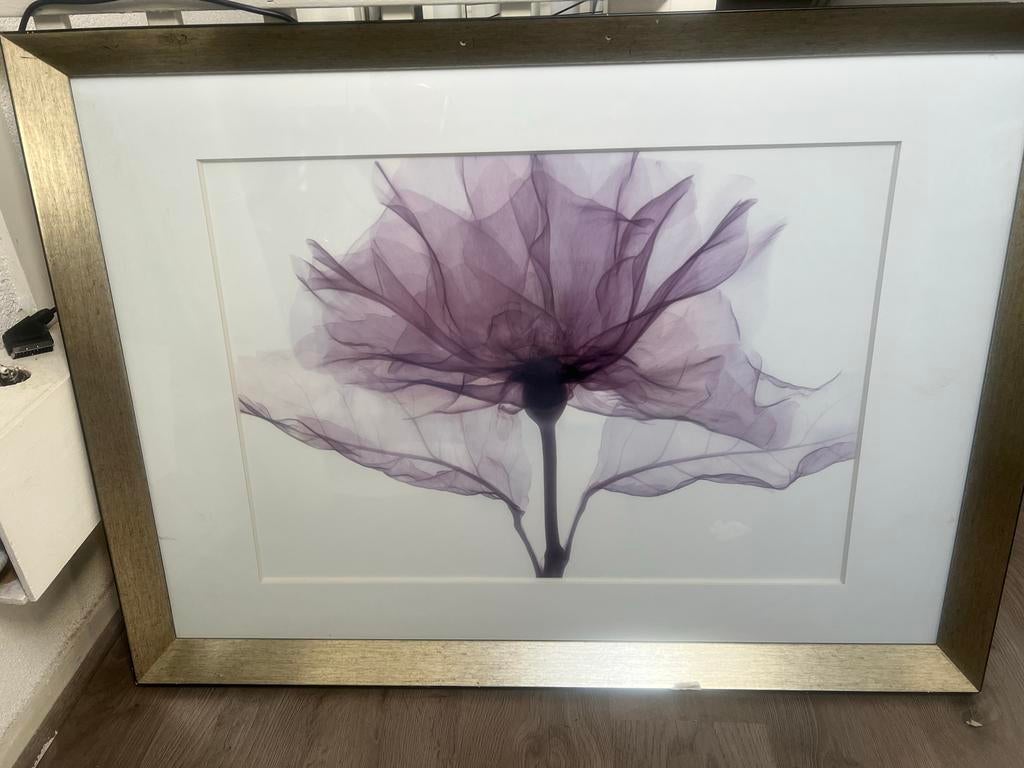 Schilderij met paarse bloem in lijst met glas, Ophalen of Verzenden