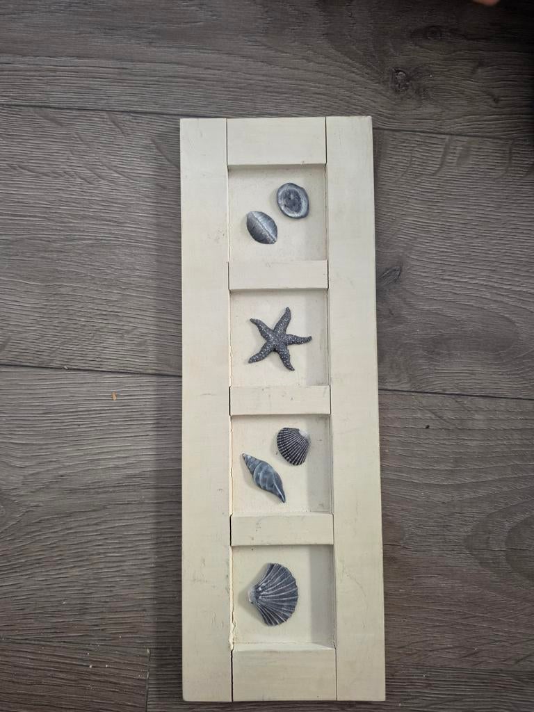 Decoratief paneel met schelpen en zeester, Hout, Gebruikt, Beige, Ophalen of Verzenden