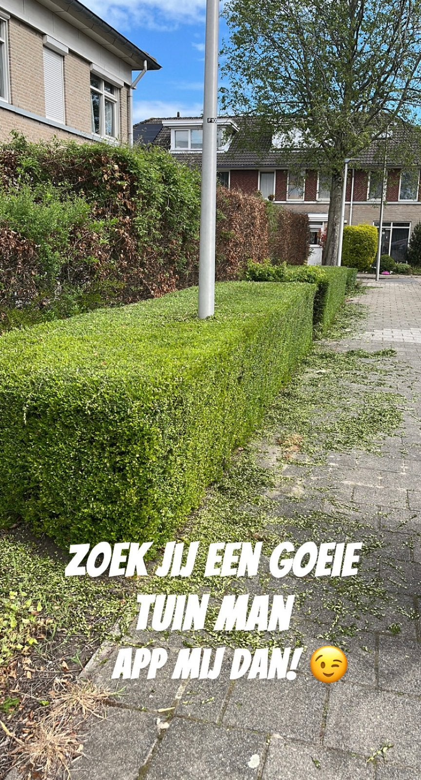 Tuinman nodig!, Tuinonderhoud of Snoeiwerk