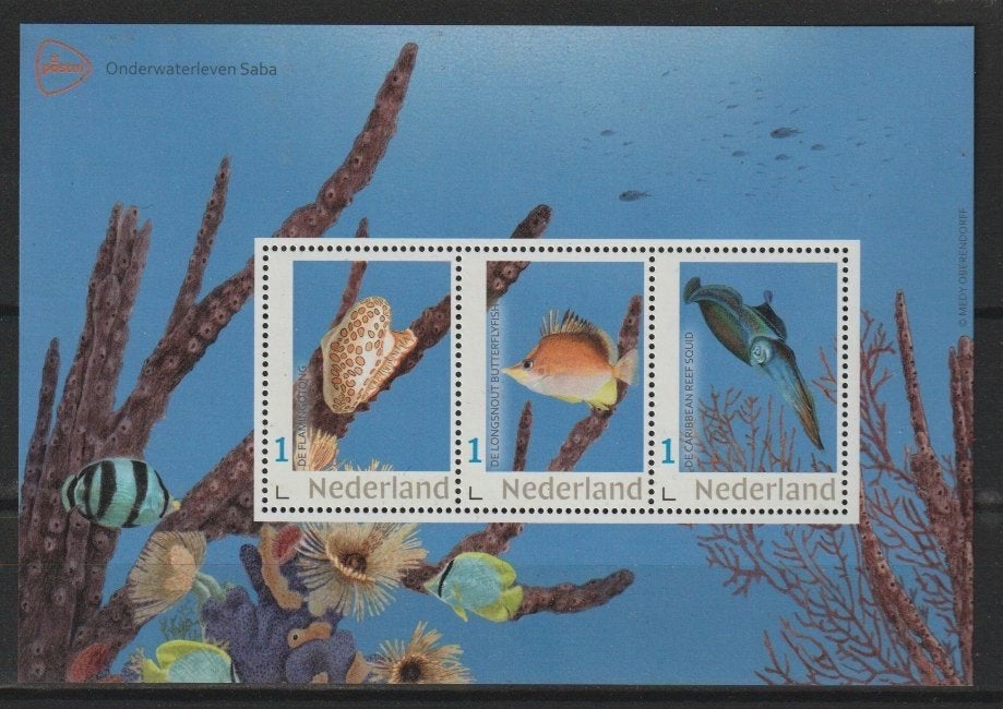 Nederland kaderzegels velletje onderwaterleven Saba, Postzegels en Munten, Ophalen of Verzenden, Na 1940, Postfris