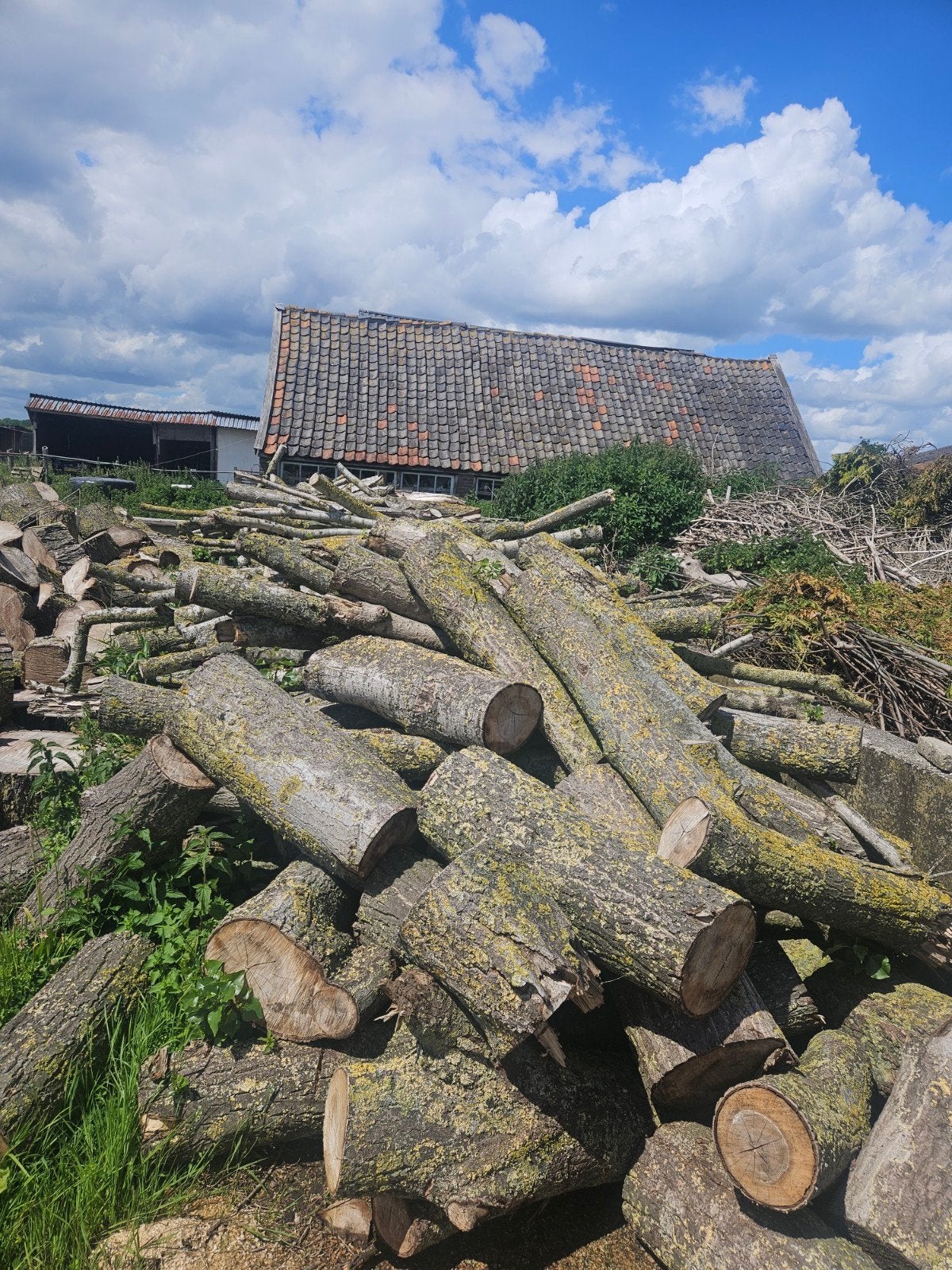 Ruim 15 kuub haardhout!, Minder dan 3 m³, Ophalen
