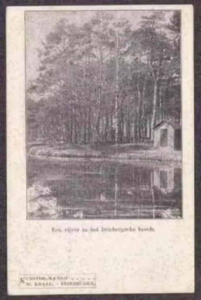 Driebergen Vijver in het Driebergsche Bosch., Ophalen of Verzenden, Voor 1920, Ongelopen, Utrecht