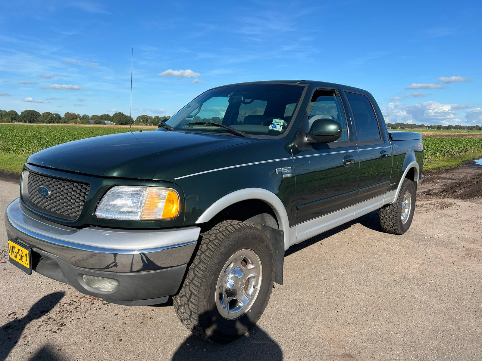 Ford  f150, Automaat, 5400 cc, 4 stoelen, 3000 kg