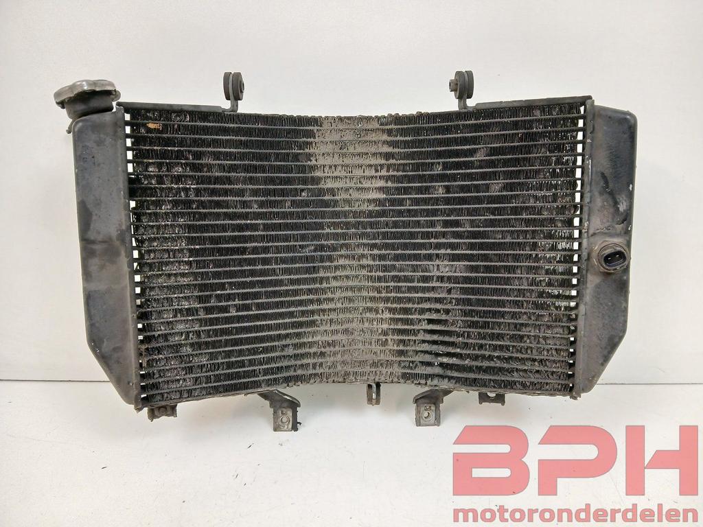 Radiateur Suzuki GSX-R 1000 K1 - K2 2001 t/m 2002 GSXR koele, Motoren, Gebruikt, -, -, Ophalen of Verzenden
