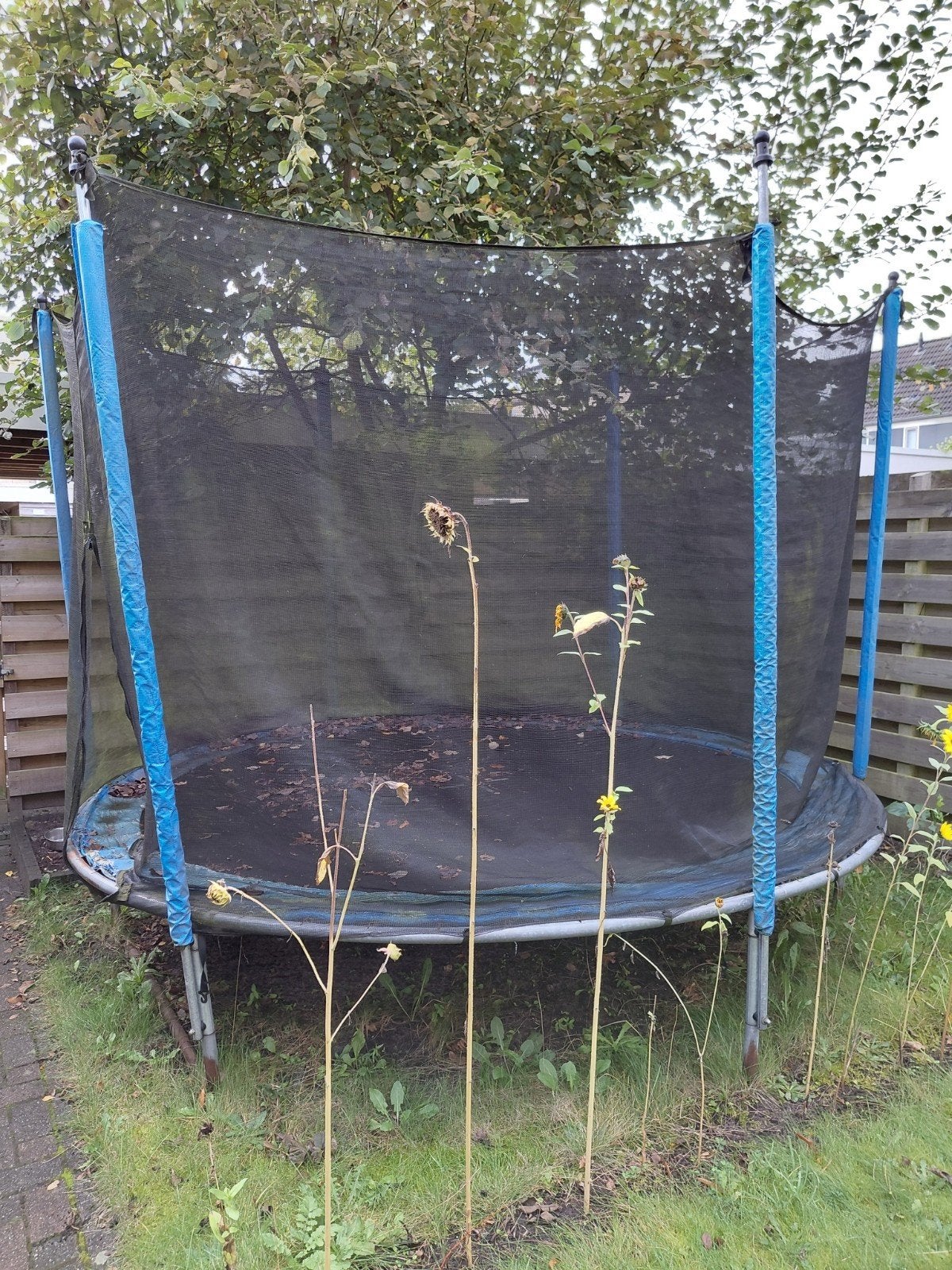 GRATIS grote trampoline