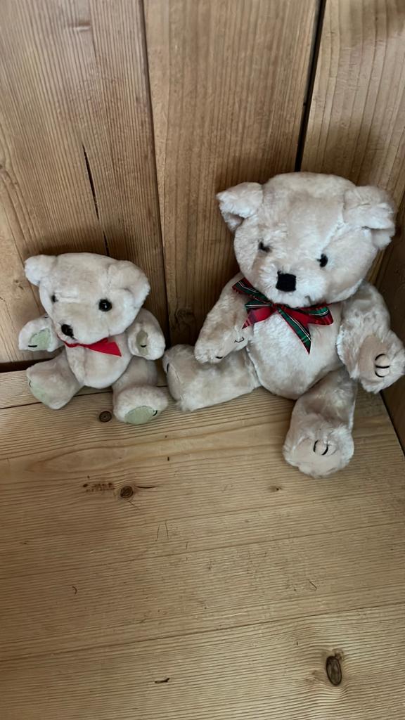 Twee teddyberen, Gebruikt, Overige merken, Overige karakters, Beer