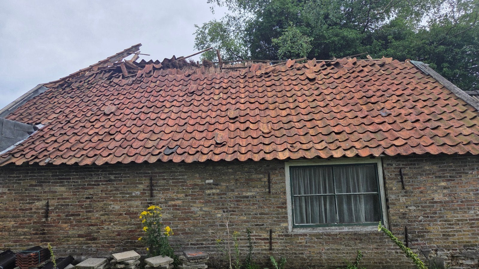 Oud Hollandse dakpannen - ca. 1300 stuks te koop, Doe-het-zelf en Verbouw, Dakpannen en Dakbedekking, Ophalen of Verzenden