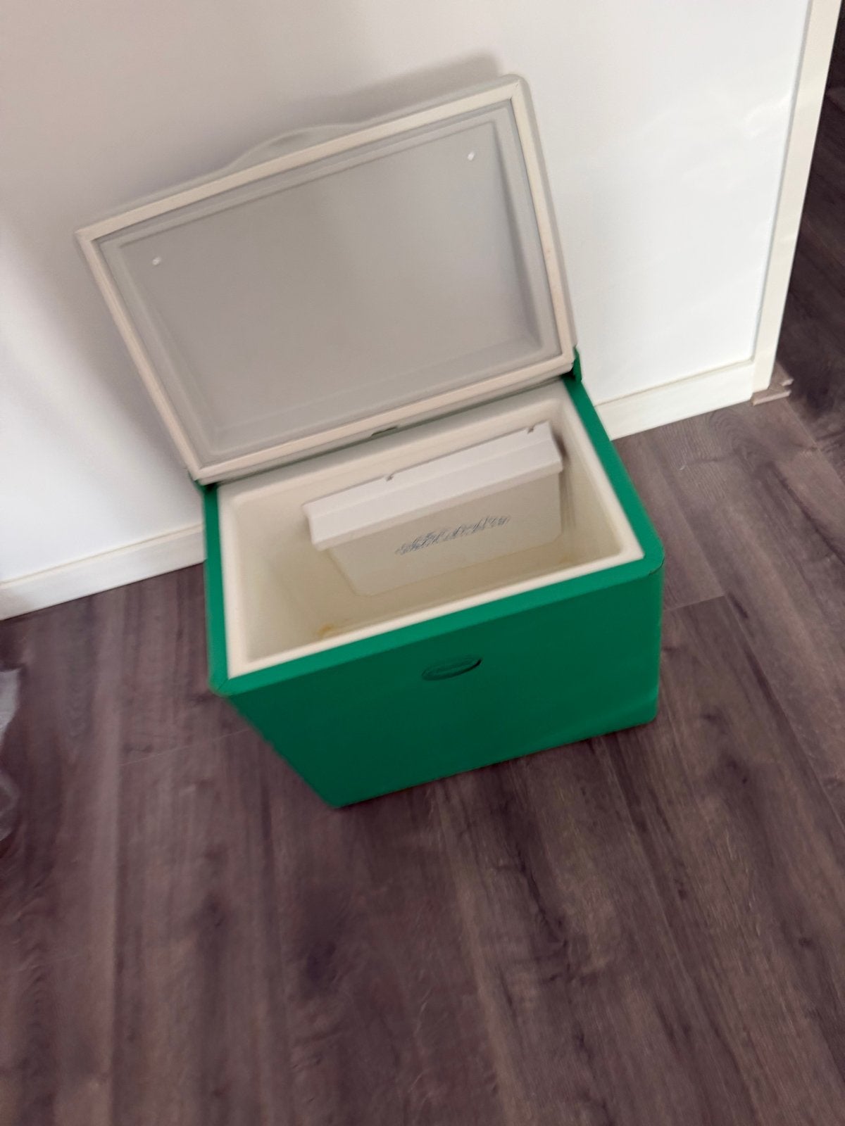 Electrolux RC 1600 EG Koelbox - Groen, 35L, Ophalen of Verzenden, Gebruikt, Koelbox, Elektrisch