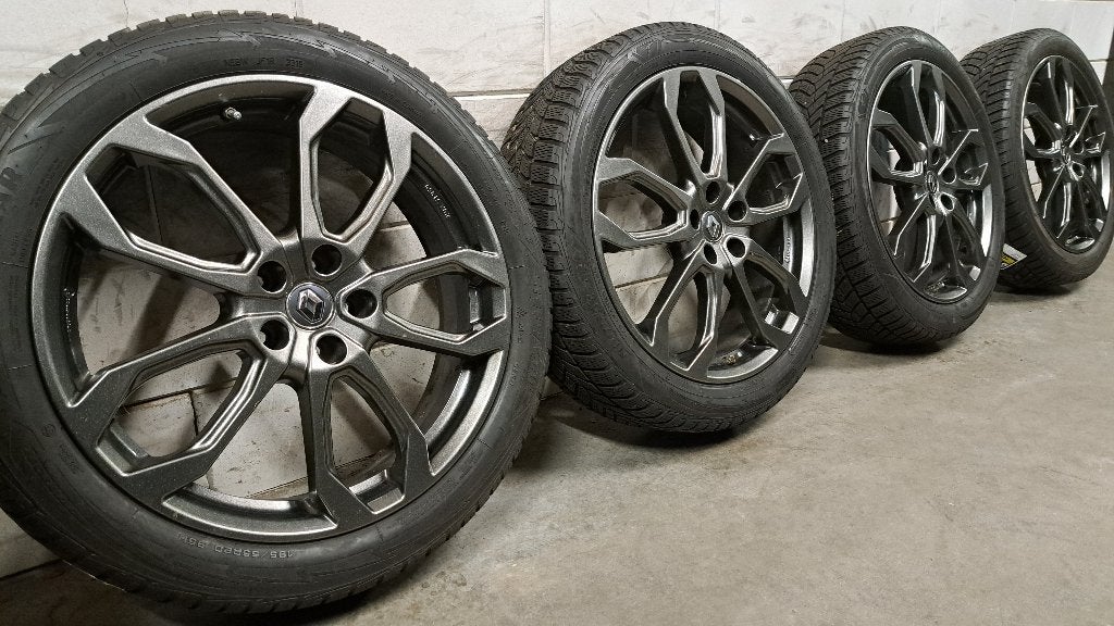 Winterbanden Renault Scenic 195/55/20 In nieuwstaat!, Gebruikt, Banden en Velgen, Personenwagen, 195 mm