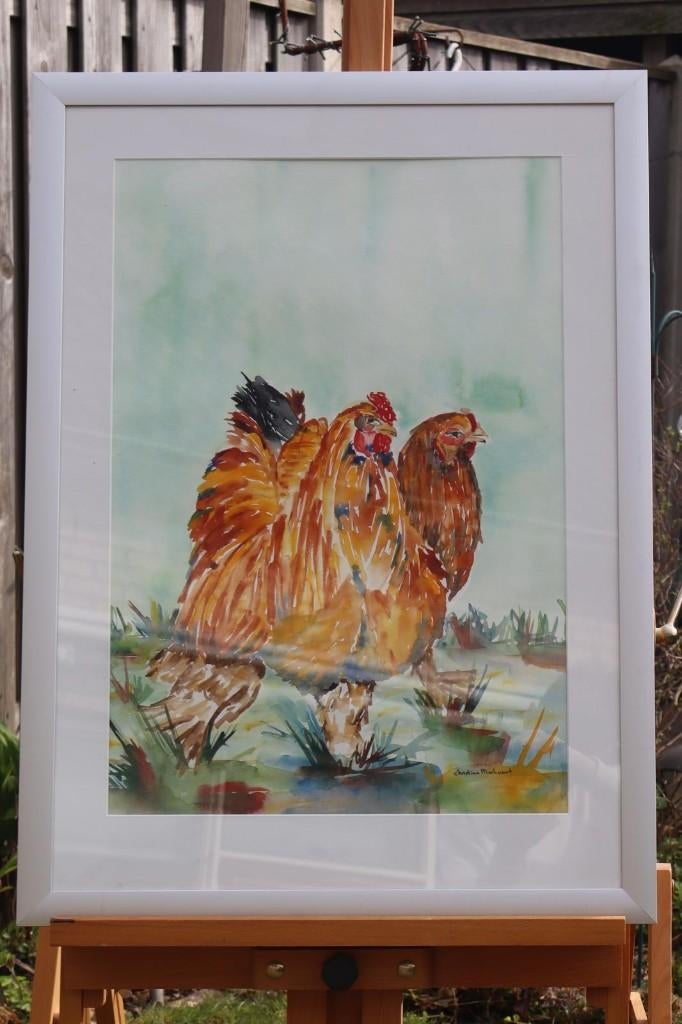 Aquarel haan, Ophalen