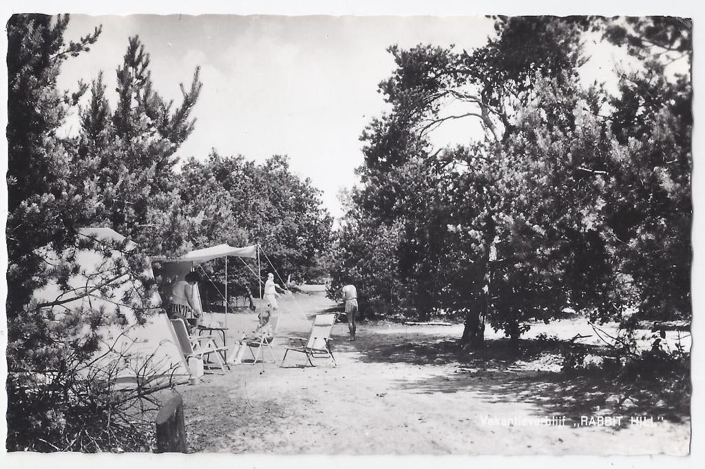 Nieuw Milligen vakantieverblijf oude ansichtkaart ( 7934 ), Ophalen of Verzenden, Voor 1920, Gelopen