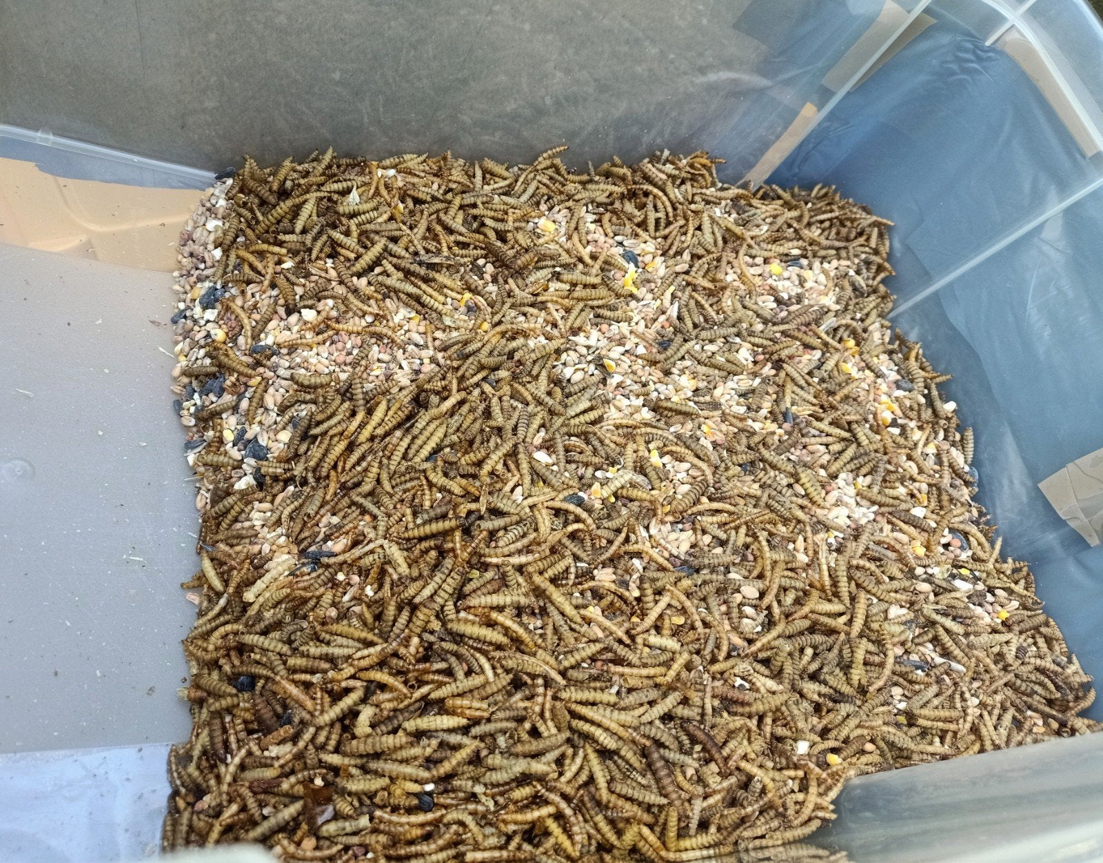 Vogelvoer mix, Ophalen, Zo goed als nieuw, Eten en Drinken