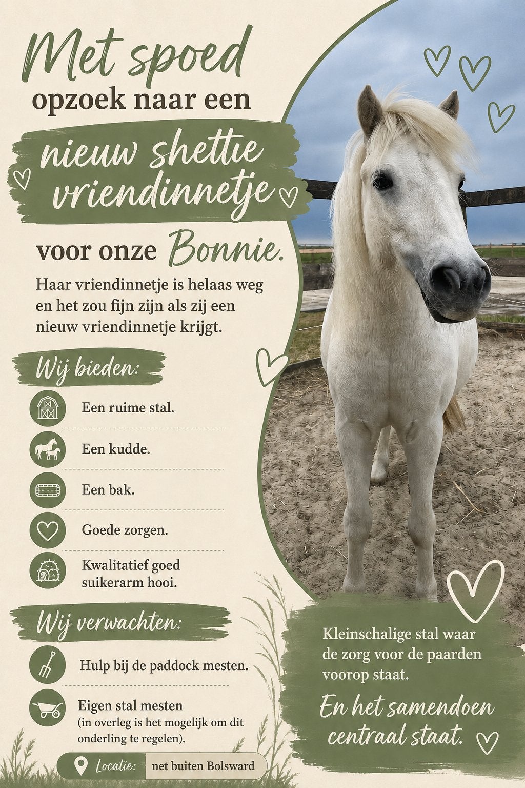 Stal vrij voor shetlander, Stalling, 2 of 3 paarden of pony's