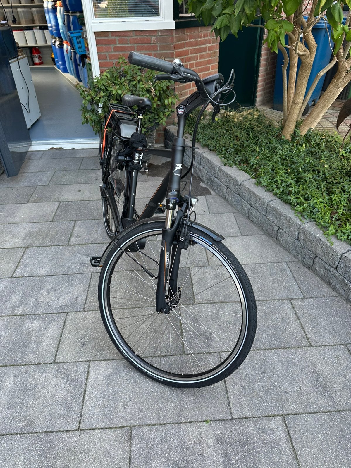 Pegasus Ravenna, Zo goed als nieuw, 51 tot 55 cm, 50 km per accu of meer, Ophalen