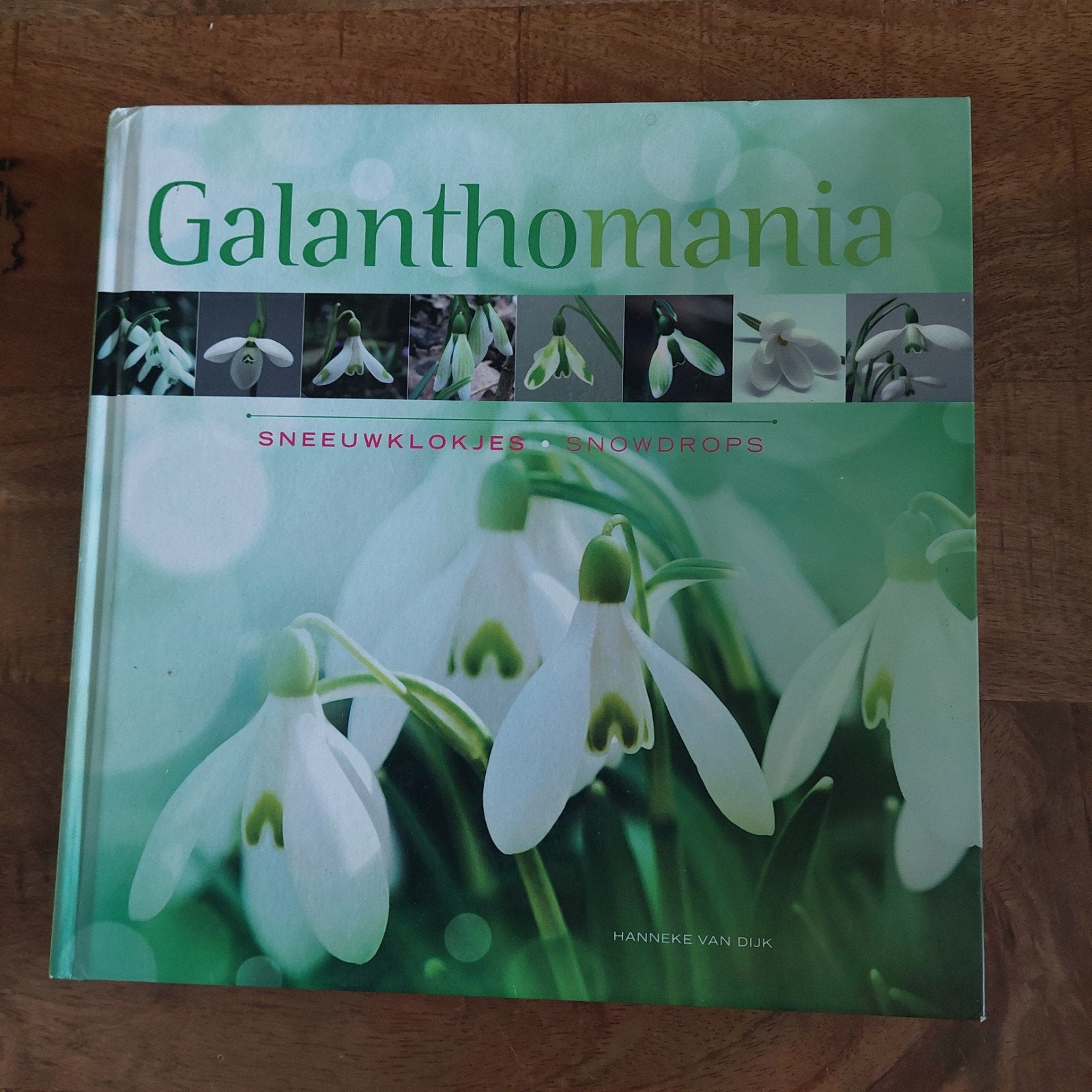 Galanthomania: Sneeuwklokjes - Hanneke van Dijk, Boeken, Ophalen of Verzenden, Zo goed als nieuw, Bloemen, Planten en Bomen, Hanneke van Dijk