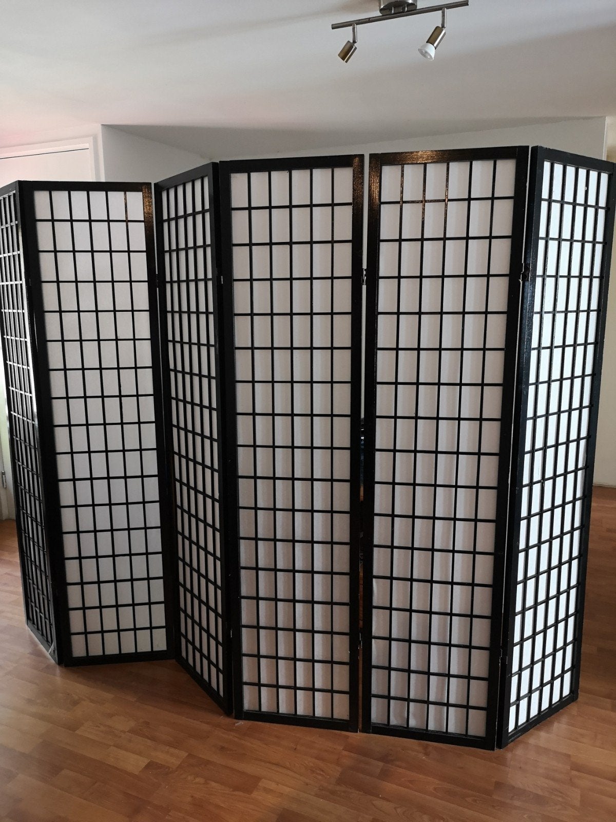 Kamerscherm 6 panelen, Ophalen, Gebruikt