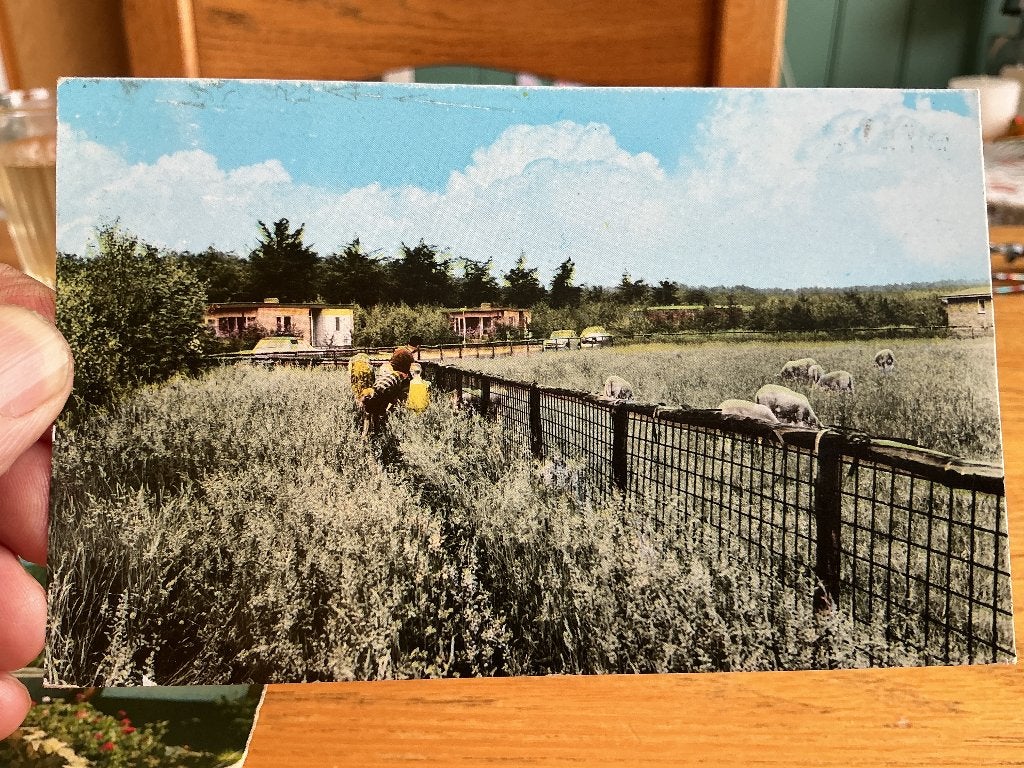 Herkenbosch Elfenmeer, Verzenden, 1960 tot 1980, Gelopen, Limburg