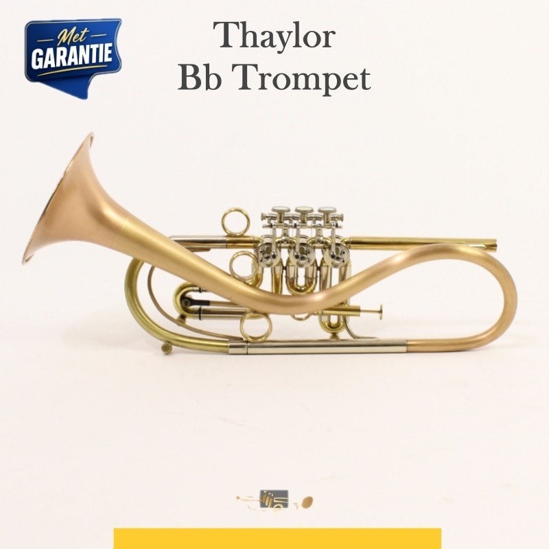 Trompet Thaylor Cutom Shop, Ophalen, Zo goed als nieuw, Bes-trompet, Met koffer