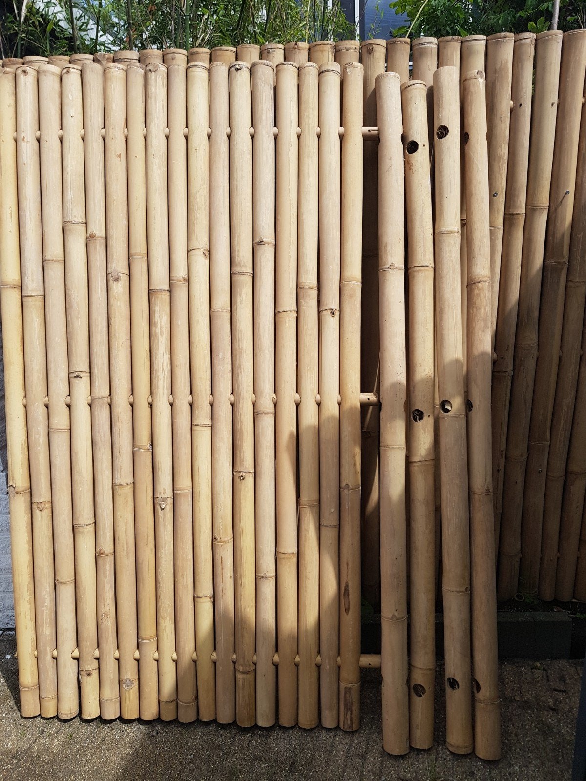 Bamboe schutting / tuinscherm, Overige materialen, 1 tot 2 meter, Minder dan 3 meter, Nieuw